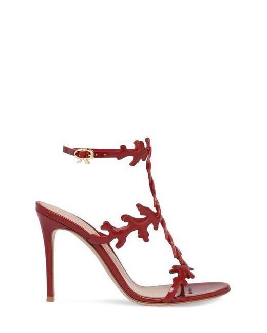 Gianvito Rossi Pink Ocean