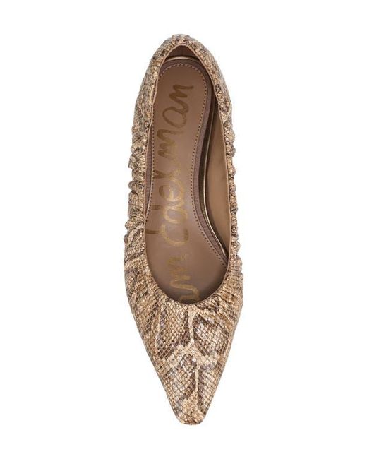 Sam Edelman Brown Essex Pointed Toe Flat