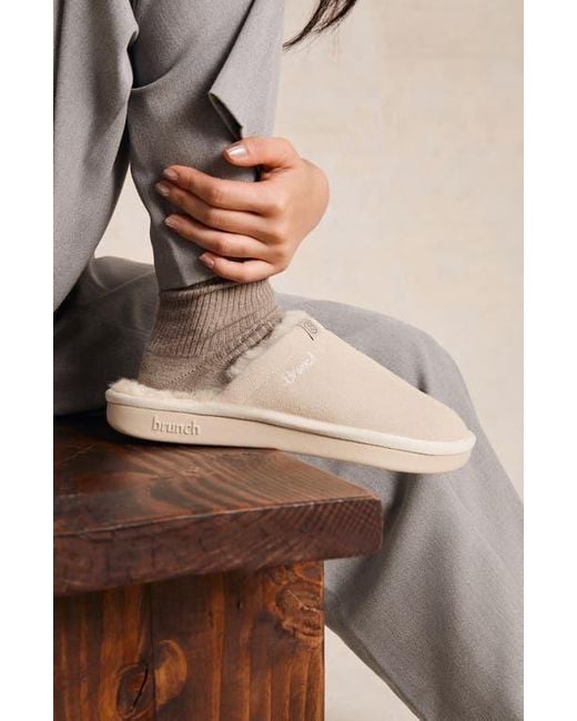 Brunch Natural Gender Inclusive Essential Genuine Shearling Slipper for men