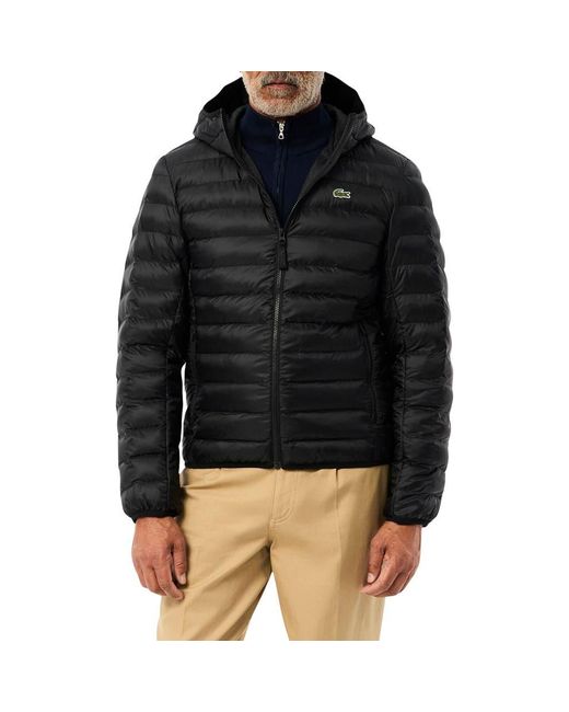 Lacoste Black Hooded Puffer Jacket for men