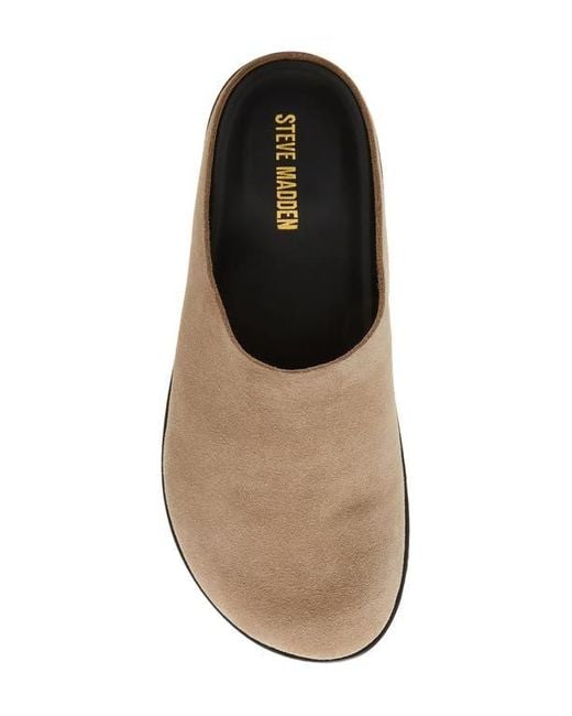 Steve Madden Multicolor Luis Slipper for men