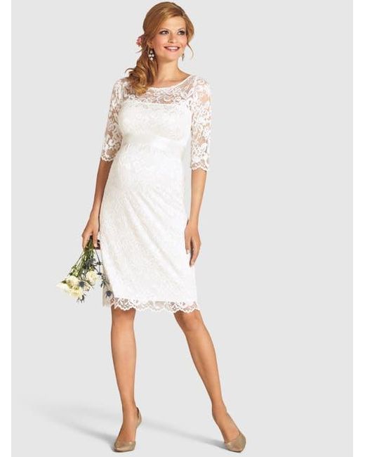 blue lace dress midi Bluebelle Lace Long Sleeve Dress 10 / Bluebelle Multi