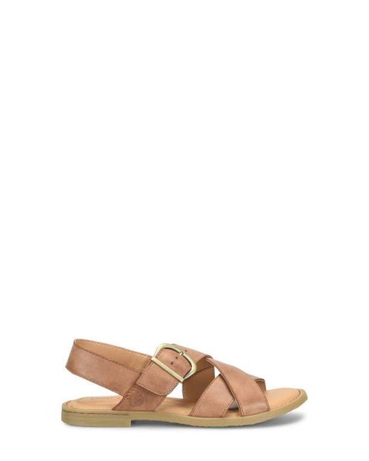 Børn Multicolor Beebe Sandal