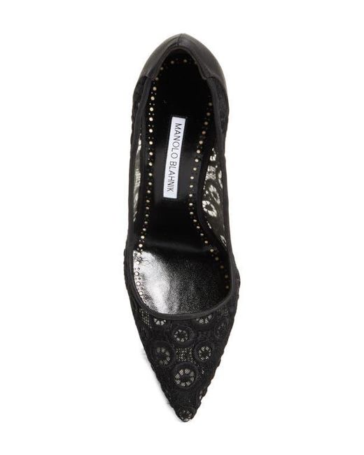 Manolo Blahnik Black Bb Lace Pointed Toe Pump