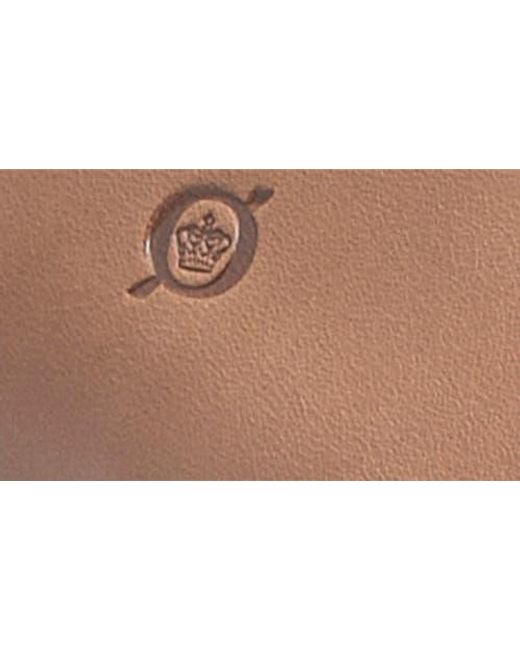 Børn Brown Elliot Clog