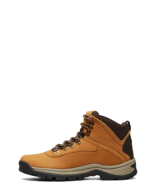 Timberland Natural Ledge Waterproof Hiking Boot for men