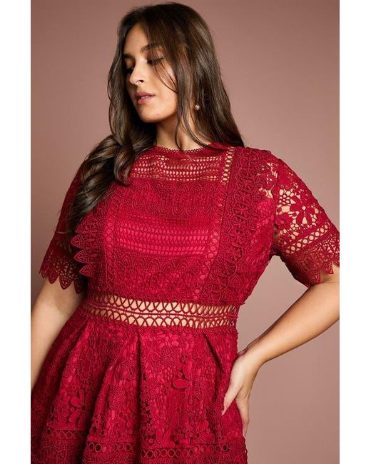 coast red lace dress Berry Coast Plus Short Sleeve Lace Midi Dress