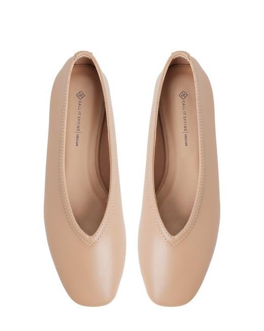 ALDO Brown Eleynora Ballet Flat