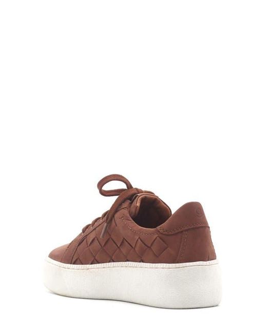 Gentle Souls Brown Kindy Platform Sneaker