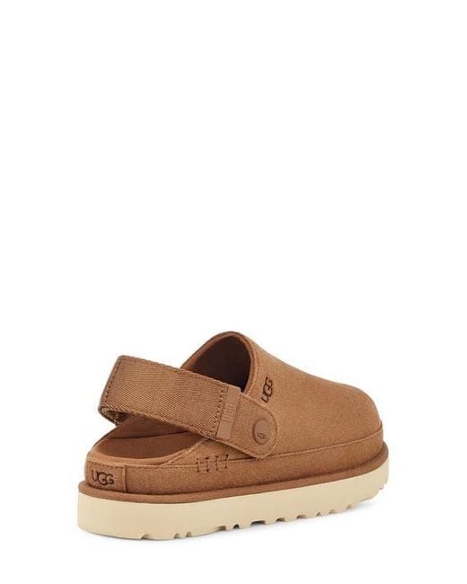 Ugg Brown Goldenstar Clog Suede Shoes