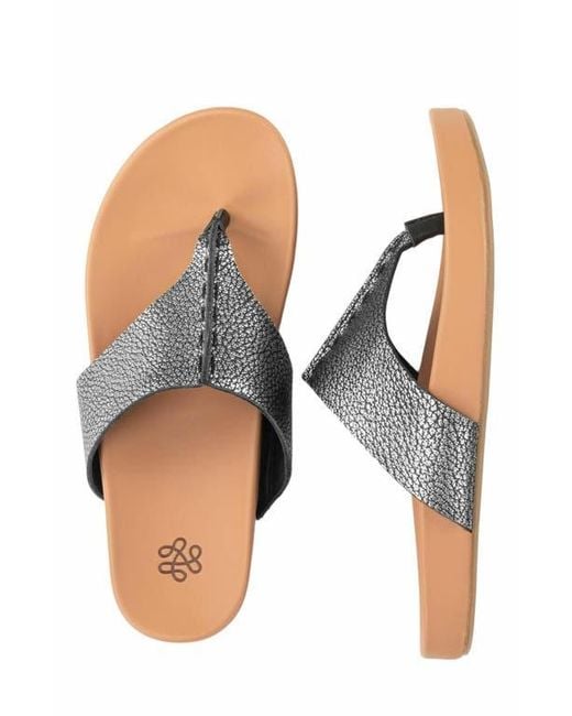 The Sak Metallic Everly Sandal