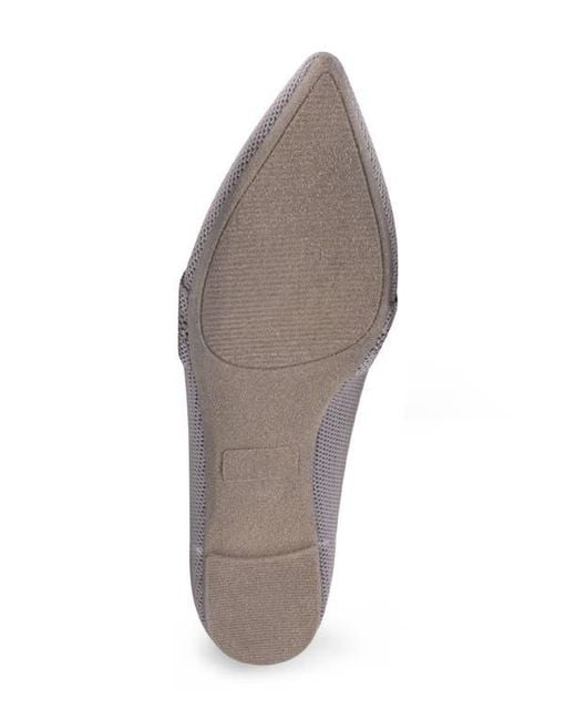 Tahari Purple Venice Flat