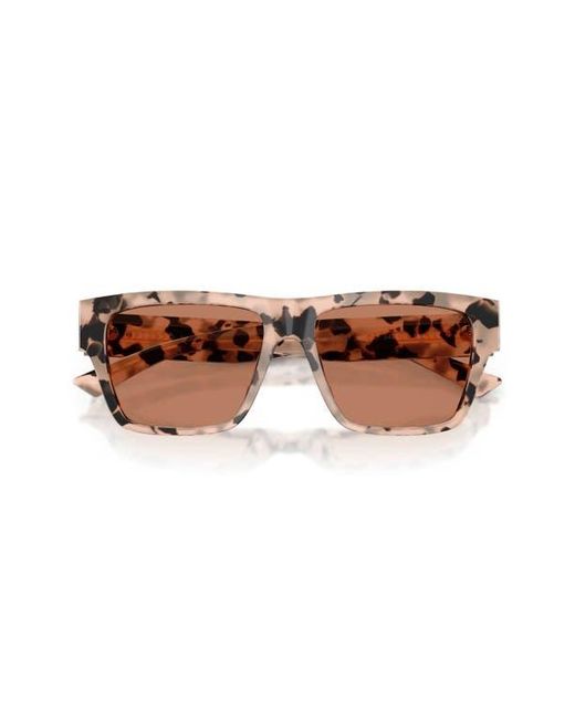 Jimmy Choo Brown 54Mm Rectangular Sunglasses