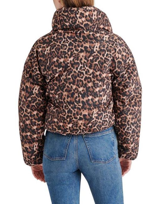 Steve Madden Blue Evy Print Puffer Jacket