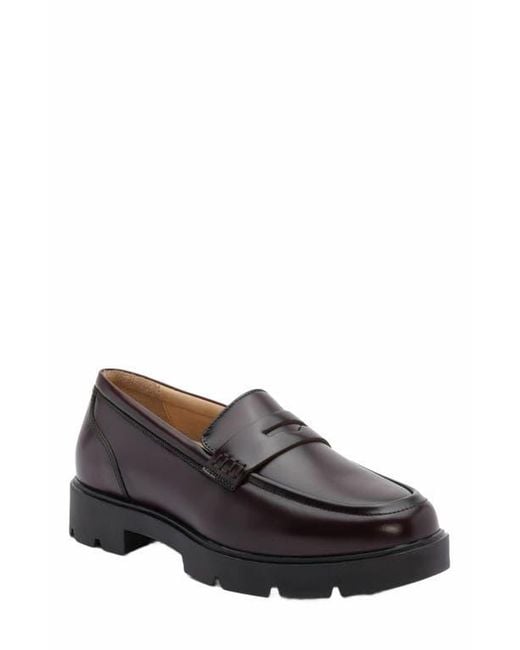 ABEO Brown Boulevard Loafer