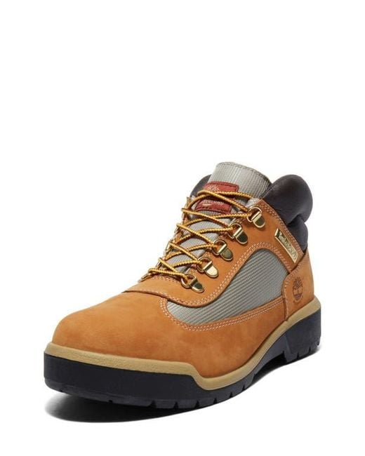 Timberland Brown Field Waterproof Boot for men