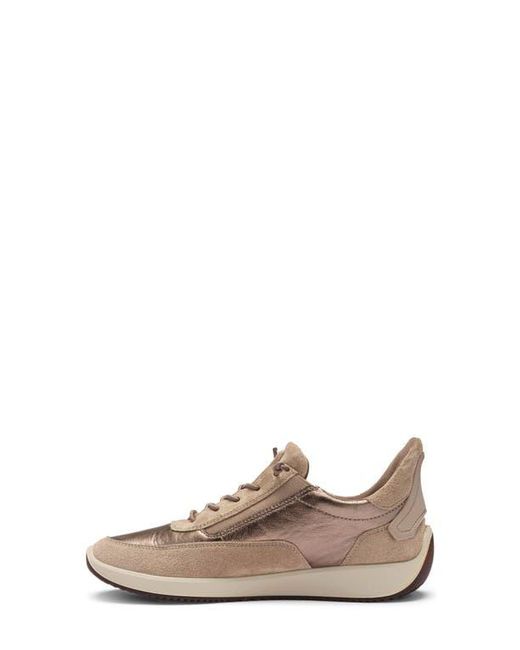 Ara Multicolor Lysa Low Top Sneaker
