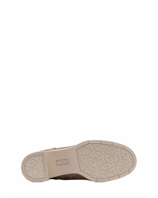 ABEO Brown Metropolis Lace Boot