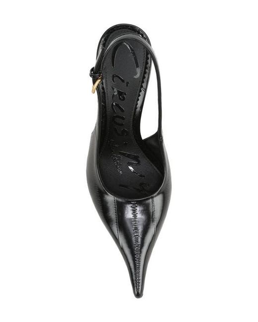 Circus by Sam Edelman Black Oaklee Slingback Pump