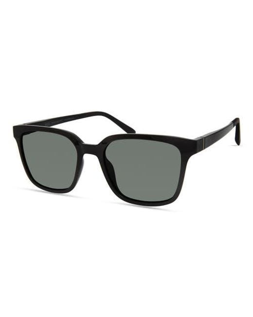 Eco Black Miller Sunglasses