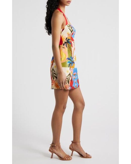 ever new halter dress Black Column Midi Dress - Daphne - Size 0 to 12