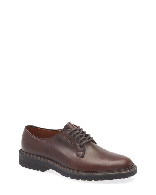 Alden Brown Plain Toe Blucher Derby for men