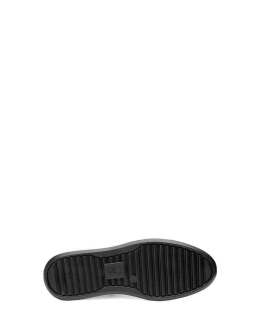Ara Black Conifer Sneaker