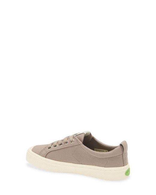 CARIUMA Gray Oca Low Cap Tie Sneaker