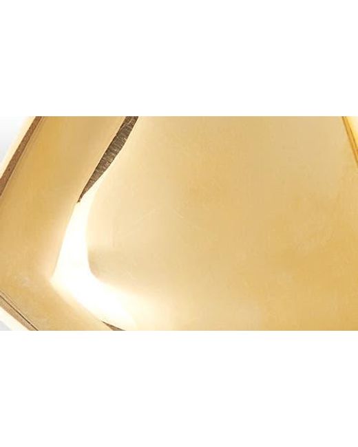 Bottega Veneta Metallic Small Vahuo Fin Earrings