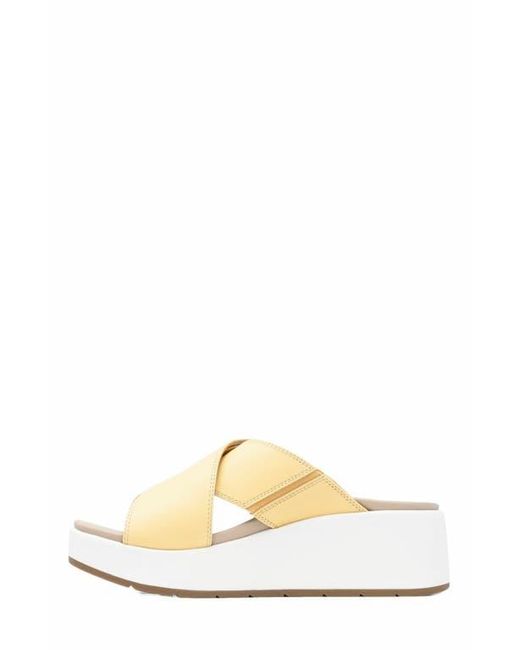 ABEO Metallic Solstice Cross Slide