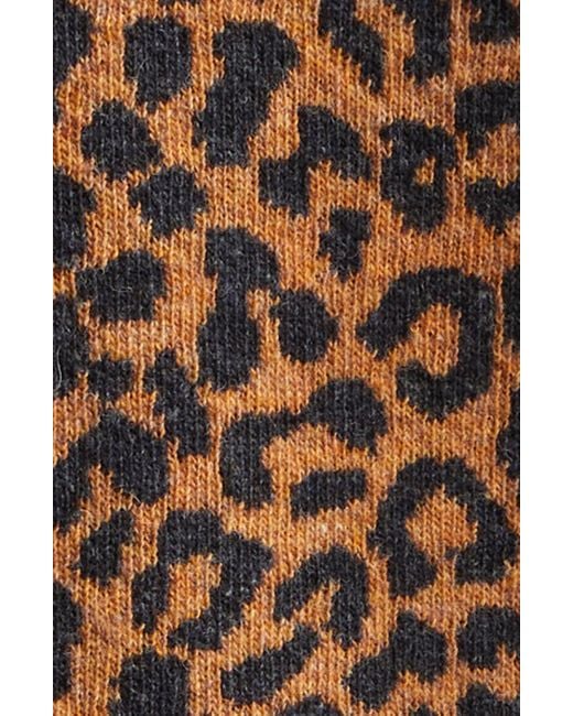 Noah NYC Brown Animal Print Wool Cardigan for men