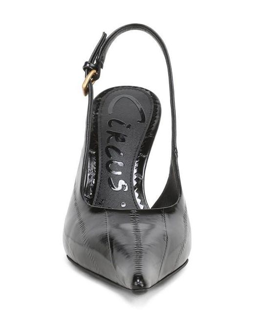 Circus by Sam Edelman Black Oaklee Slingback Pump