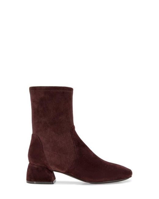 Gentle Souls Purple Emily Bootie