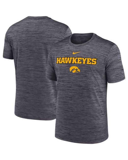 Nike Blue Iowa Hawkeyes 2025 Sideline Velocity Performance T-Shirt for men
