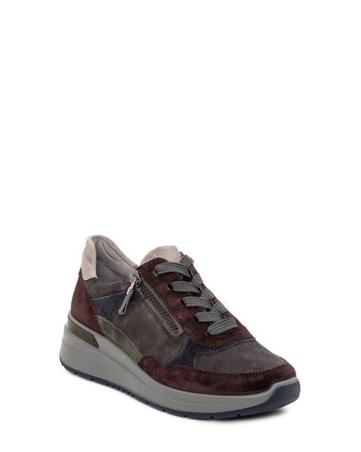 Ara Brown Gardenia Sneaker