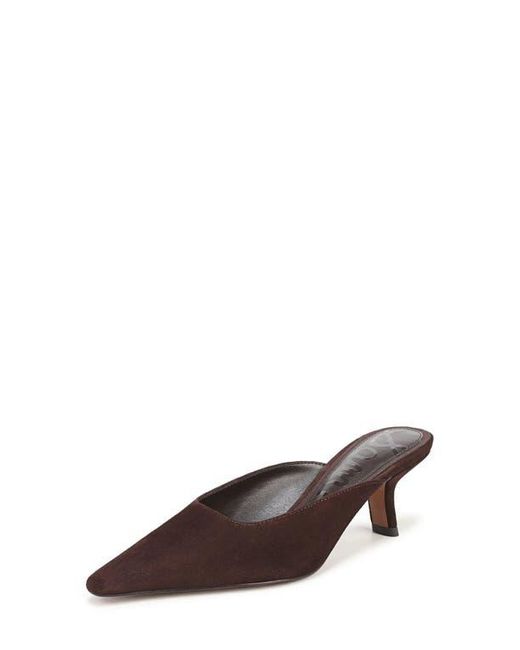 Sam Edelman Brown Brandy Pointed Toe Mule