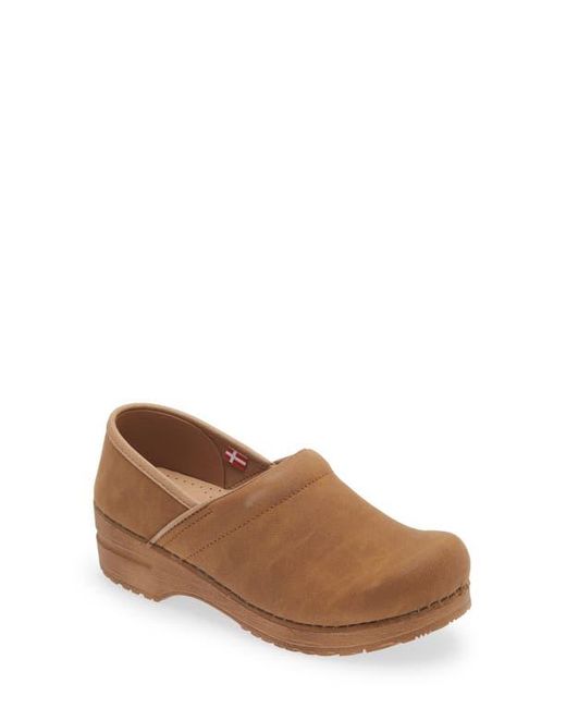 Sanita Brown Hinsdale Clog