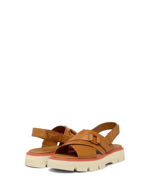 Sorel Brown Rein Cb Crisscross Sandal