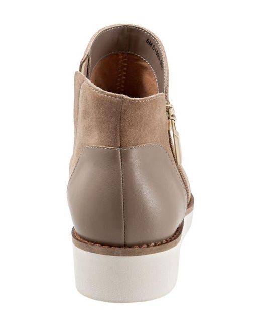 Softwalk® Brown Wesley Bootie