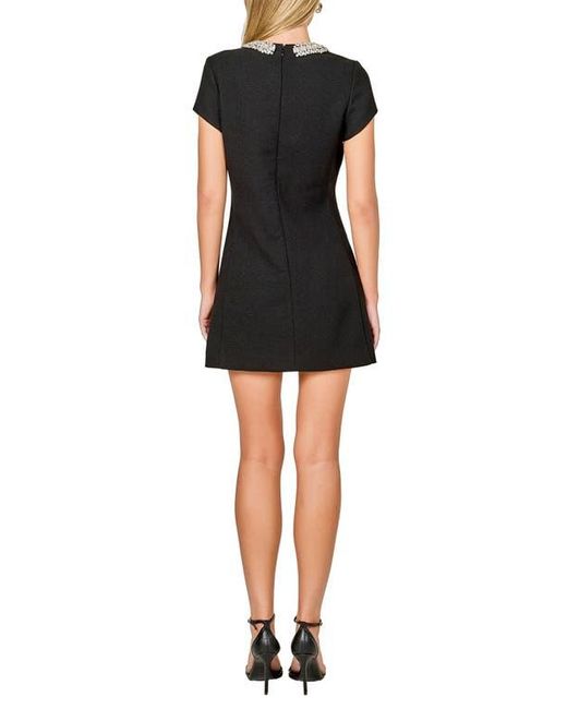 Endless Rose Black Embellished Shift Minidress