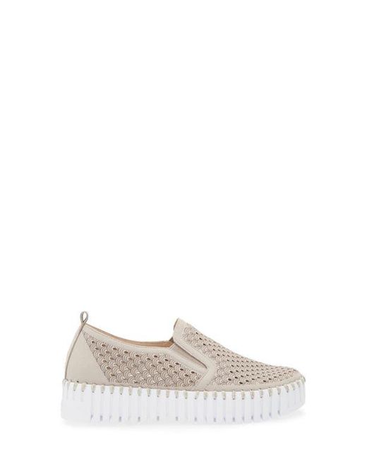 Ilse Jacobsen Gray Tulip Slip-On Sneaker