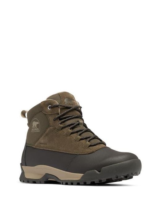Sorel Brown Buxton Lite Plus Waterproof Boot for men