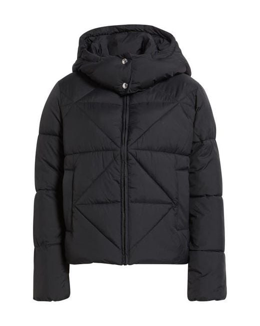 Sam Edelman Black Cropped Puffer Jacket