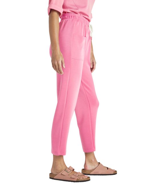 Splendid Pink Massie Scuba Sweatpants