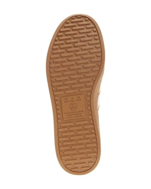 Chocolat Blu White Valox Sneaker