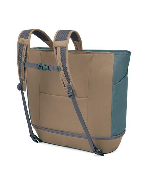 Osprey Blue Daylite Large Tote Pack