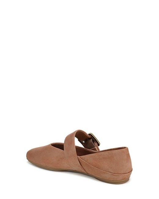 Franco Sarto Brown Oakes Square Toe Flat