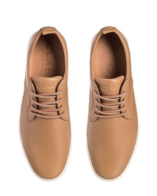 CLAE Brown Ellington Sneaker for men