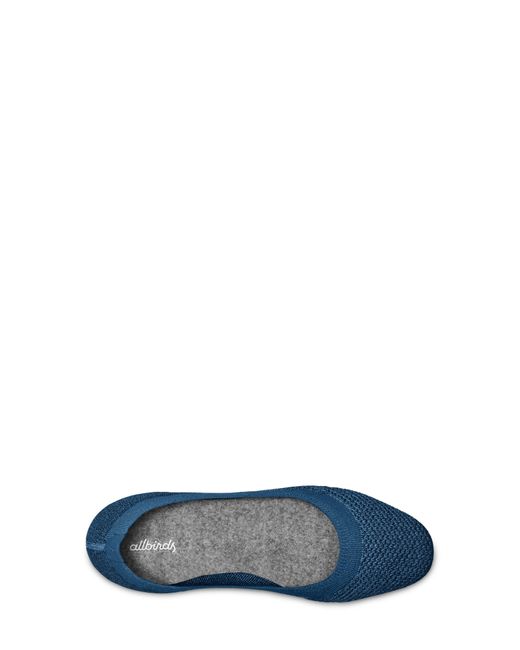 allbirds tree breezer