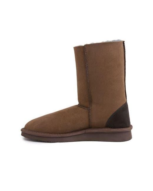 Celtic & Co. Brown House Boot for men